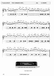 This 16 hole harmonica is designed for ages 3 years and older. Brendan Power Harmonica