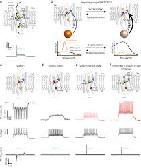 Here are the ten ways printable worksheets make. A General Approach To Engineer Positive Going Efret Voltage Indicators Nature Communications