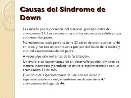 Las células del ser humano tienen 46 cromosomas distribuidos en 23 pares y mientras que uno de esos pares determina el sexo del feto los otros 22 se numeran del 1 al 22 por tamaño decreciente. Sindrome De Down