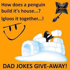 Jokes best jokes how do penguins build their house? Winbag How Does A Penguin Build Its House Igloos It Facebook