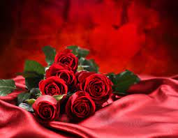 Explore red rose wallpaper desktop on wallpapersafari | find more items about rose garden wallpaper, red rose wallpaper for walls, 3d red roses wallpaper. Rose Flower Wallpapers Top Free Rose Flower Backgrounds Wallpaperaccess