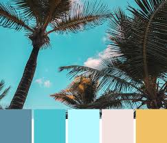 Check spelling or type a new query. 14 Tropical Color Palettes To Beat The Heat Imagine Design Repeat