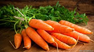 The theory that carrots are good for the eyesight may have begun in ancient times, but it was much embroidered in the second world war, when, in order to encourage the consumption of carrots, one. How Did Carrots Become Orange The Economist