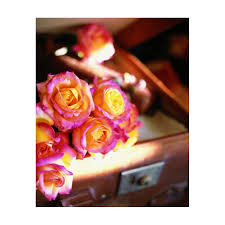 finished crafts pullman orient express rose. Rose Pullman Orient Express Baipeace