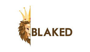 blaked.creator-spring.com