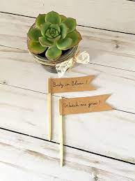 Pin On Camille S Shower
