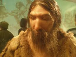 From obsolete german neanderthal, now spelled neandertal, the name of a valley (german tal, older also spelled thal) near düsseldorf where the first neanderthal was discovered in 1856. Neanderthals Overview And Study Guide