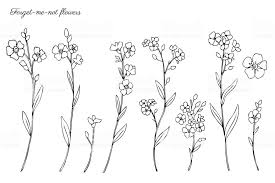 Impression einer mohnblume (forum für naturfotografen). Forget Me Not Flowers Tattoo Vergissmeinnicht Geometrisches Tattoo Blumentattoos