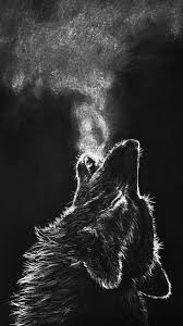 Every update uses your pc's hard disk space and keeps getting larger and larger every day which overloads your pc and as a result, your pc gets slower and takes a lot of time to startup. Hd Wolf Phone Wallpapers Wallpaper Cave