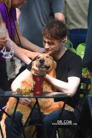 Pin On Oh For Goodness Sake