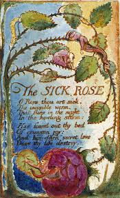 O Rose Thou Art Sick The Invisible Worm That Flies In The Night In The Howling Storm Has Found Out Thy Bed William Blake William Blake Poems Book Art