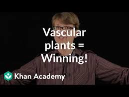 We did not find results for: Vascular Plants Winning Video Khan Academy