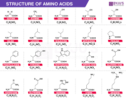 Amino Acids Properties Functions Sources And Its