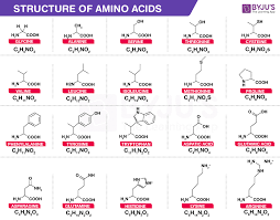 amino acids properties functions sources and its