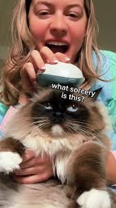 Sydney Morgan Cat Scratcher