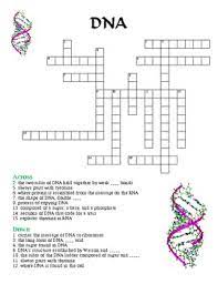 Dna crossword puzzle across 2. Crossword Puzzle Dna With Answer Key By Michelle Sousa Tpt