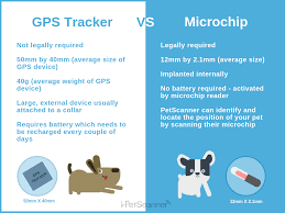 We did not find results for: Gps Tracker Vs Microchip What Your Pet Really Needs Petscanner