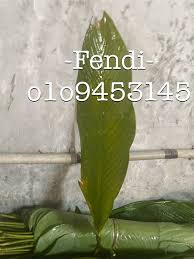 Harga emas antam hari ini naik lagi. Buluh Lemang Daun Lerek Food Drinks Local Delights Halal Main Meals On Carousell
