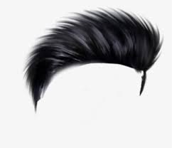 For editing photos in picsart as well as for photoshop. Picsart Hair Png Images Transparent Picsart Hair Image Download Pngitem