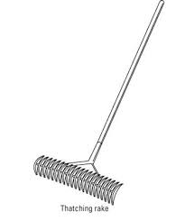 Use a rake to comb through the thatch and remove it. How To Dethatch Your Lawn Dummies