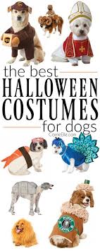 Best Halloween Costumes For Dogs Dogoutfits Pet Halloween Costumes Best Dog Halloween Costumes Dog Halloween Costumes