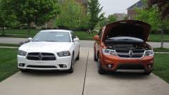 Image result for Mango Tango 2011 Caliber