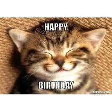 Pin By Yolie Hernandez On Funny Happy Birthday Song In 2020 Happy Birthday Funny Cats Happy Birthday Cat Happy Birthday Funny