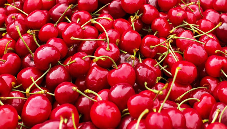 South African cherries ready for expansion - Smartcherry