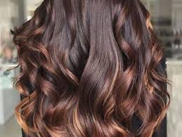 This rich, dark color works best on light, fair skin. The Complete Guide To Highlights For Brown Hair Redken