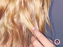 Lather up to work it into your hair and coat each strand from root to tip. How To Get Rid Of Green Tinge In Blonde Hair Blonde Hair