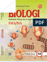 Aug 10, 2021 · kunci jawaban buku kimia erlangga kelas xi kurikulum 2013 bab 2 tugas 2 bahasa indonesia kelas 11 semester 1 mengonversi teks cerpen kunci jawaban biologi erlangga kelas xi kurikulum 2013 bab 8 modul pdgk 4403 pendidikan anak di sd membandingkan teks editorial materi turunan kelas 11 kurikulum 2013 gurindam dua belas tugas mandiri bab 7 pkn. Kunci Jawaban Buku Kerja Biologi Kelas 12 Soal Tuntas