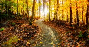 Maybe you would like to learn more about one of these? Encountering Nature Outdoor Walks To Reduce Stress And Increase Focus In Students Faculty Focus