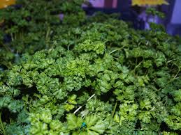 Cultiver Et Cuisiner Les Herbes Aromatiques