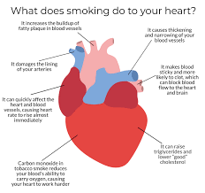 Smokers are all too familiar with the satisfaction of lighting up a cigarette and feeling the soothing sensation of nicotine flowing through the body. Keep Your Heart Pumping For Those You Love Quit Smoking Today Public Health Insider