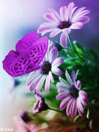 We did not find results for: Shikarnye Gerbery I Babochka Animaciya Na Telefon 1254390 Morning Flowers Beautiful Flowers Purple Flowers