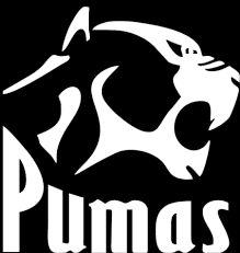 Puma kids' pacer next excel sneaker. Pumas Rugby Union Official Website Of The Mpumalanga Pumas