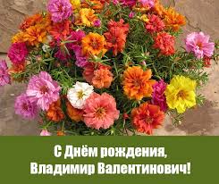 Владимир, вольдемар, вован, тебя мы поздравляем, ты самый лучший наш дружбан, сегодня погуляем! S Dnyom Rozhdeniya Vladimir Valentinovich Komi Respublikanskaya Organizaciya Obsherossijskoj Obshestvennoj Organizacii Vserossijskoe Obshestvo Invalidov