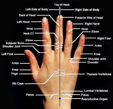 Acupuncture Versus Acupressure Acupressure Treatment Acupressure Massage Massage Therapy
