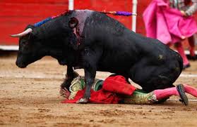 Image result for mexico jokes images