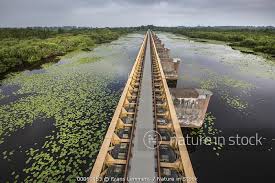 Dat concludeert drinkwaterbedrijf brabant water na uitvoerig onderzoek. Nature In Stock