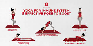 One was in a broad sense to mean an appropriately formulated sequence of steps (krama) for approaching a given posture. Yoga For Better Immunity Practice At Home 5 Effective Yoga Poses Regularly 7pranayama Com
