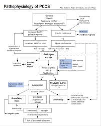 Polycystic ovary syndrome (pcos) happens when a woman's ovaries or adrenal glands produce more male hormones than normal. Pathophysiology Of Polycystic Ovarian Syndrome Pcos Pathophysiology Pcos Polycystic Ovarian Syndrome Symptoms