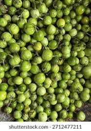 Image result for Solanum macrocarpon