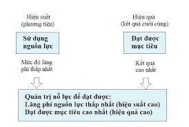 Cải thiện hiệu suất và nâng cao hiệu quả trong quản trị - SINNOVA