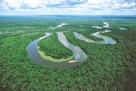 Learn how to get started! 5 Five 5 Amazon River Brazil