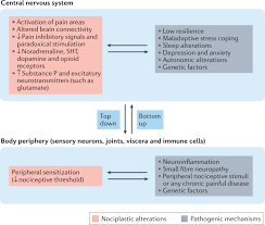 Regland b, forsmark s, halaouate l, et al. Fibromyalgia An Update On Clinical Characteristics Aetiopathogenesis And Treatment Nature Reviews Rheumatology