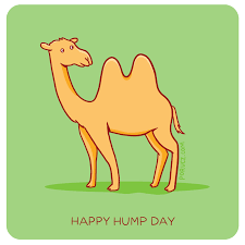 Either way you look at it, you're more than half way through the work week. Camel Gifs Tenor