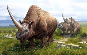 Tê giác Siberia "Siberian unicorn" là loài tê giác lớn nhất trên trái đất,  đã tuyệt chủng, nặng tới 4 tấn, tương tự như voi Châu Á (nặng 3,5–4,6 tấn).  Với một