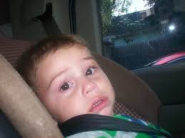 Nicholas Curtis Obituary (2013)