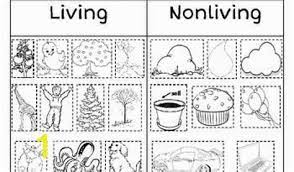Animal coloring pages coloring pages for kids woodland animals theme letter a crafts sunday school crafts craft activities cross stitch embroidery techno arts and crafts. Living And Non Living Things Coloring Pages Learny Kids